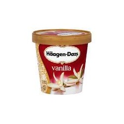 Haagen-Dazs Ice Cream Vanilla